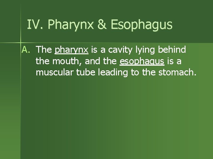 IV. Pharynx & Esophagus A. The pharynx is a cavity lying behind the mouth,