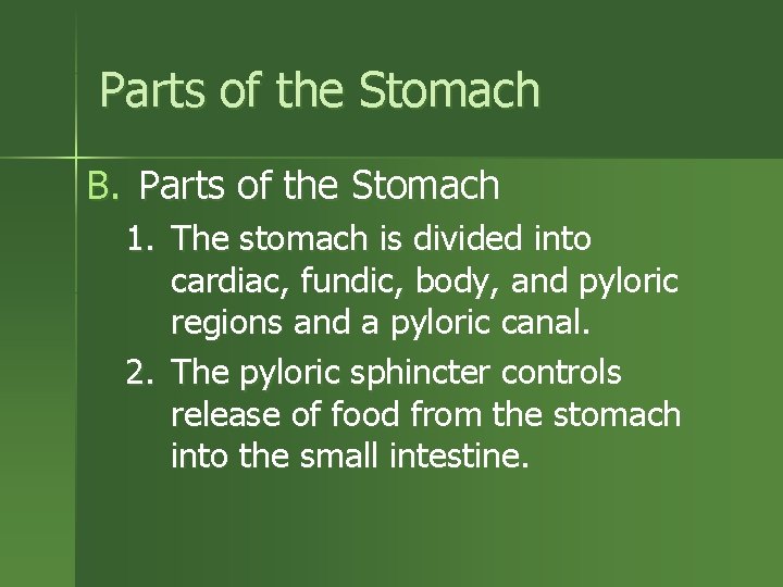 Parts of the Stomach B. Parts of the Stomach 1. The stomach is divided