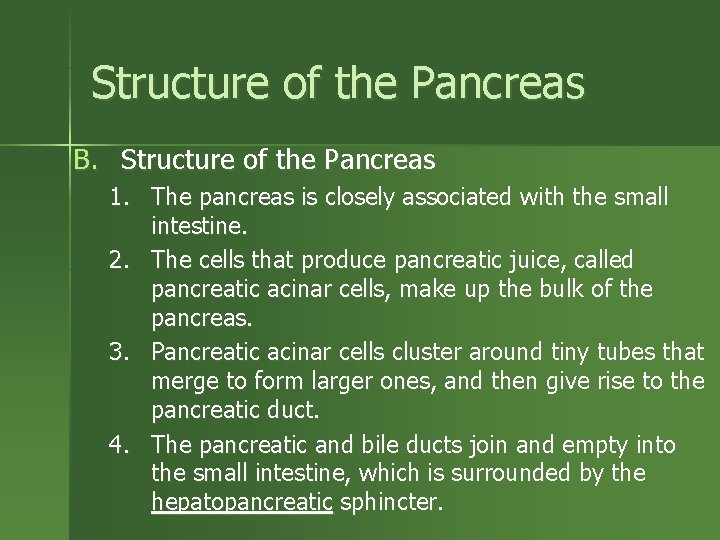 Structure of the Pancreas B. Structure of the Pancreas 1. The pancreas is closely