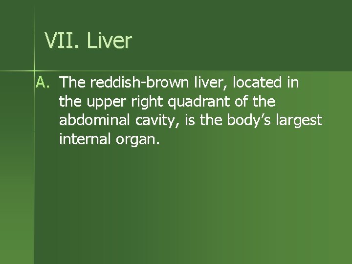 VII. Liver A. The reddish-brown liver, located in the upper right quadrant of the