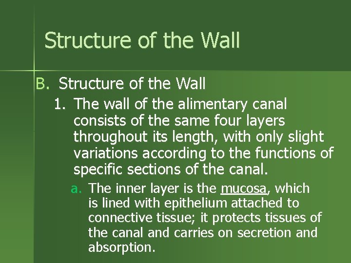 Structure of the Wall B. Structure of the Wall 1. The wall of the