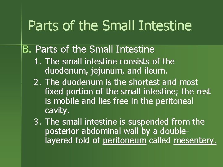 Parts of the Small Intestine B. Parts of the Small Intestine 1. The small