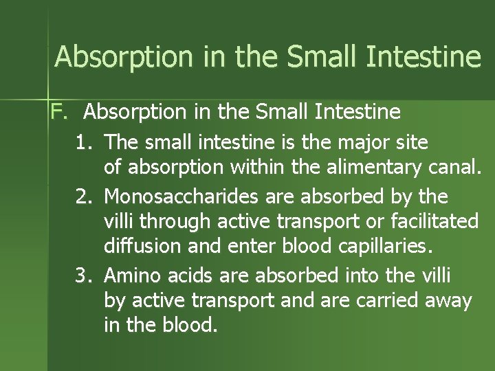 Absorption in the Small Intestine F. Absorption in the Small Intestine 1. The small