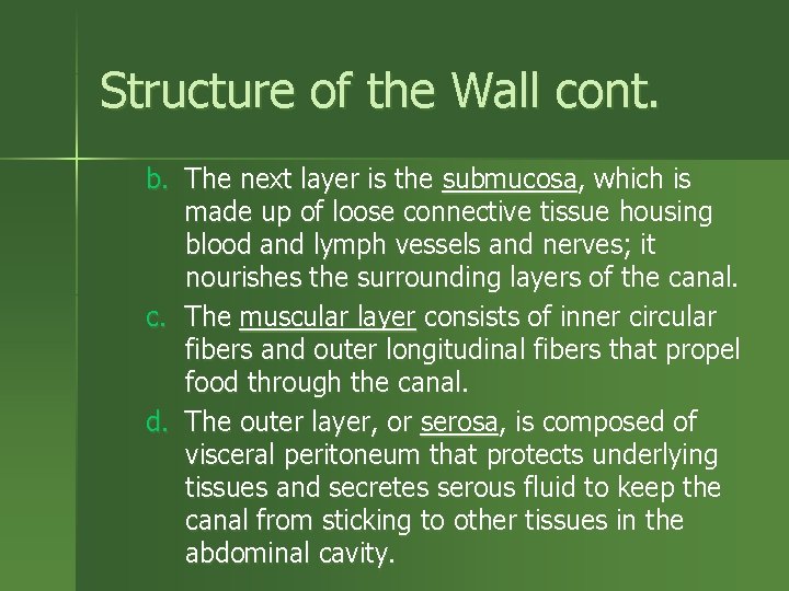 Structure of the Wall cont. b. The next layer is the submucosa, which is