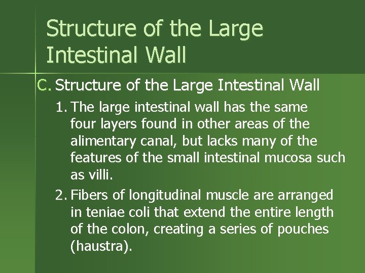 Structure of the Large Intestinal Wall C. Structure of the Large Intestinal Wall 1.