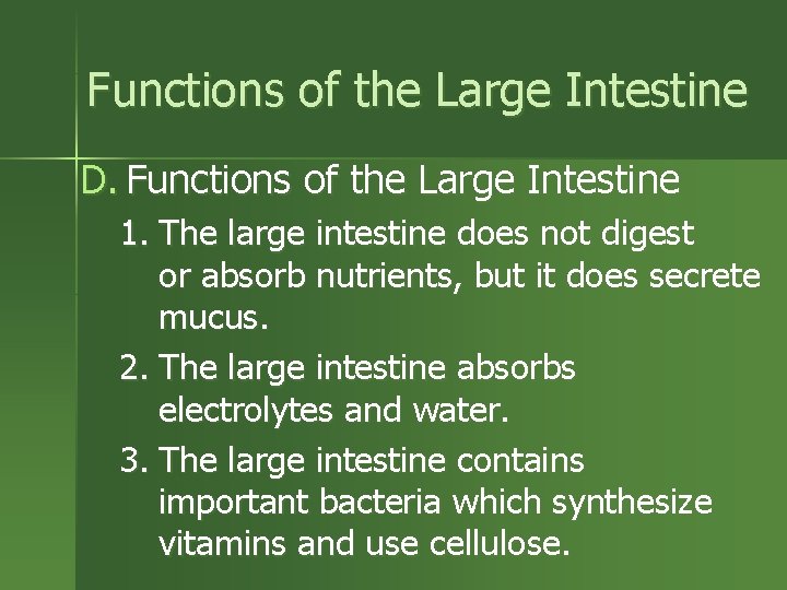 Functions of the Large Intestine D. Functions of the Large Intestine 1. The large