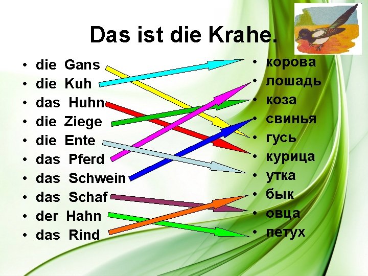 Das ist die Krahe. • • • die Gans die Kuh das Huhn die