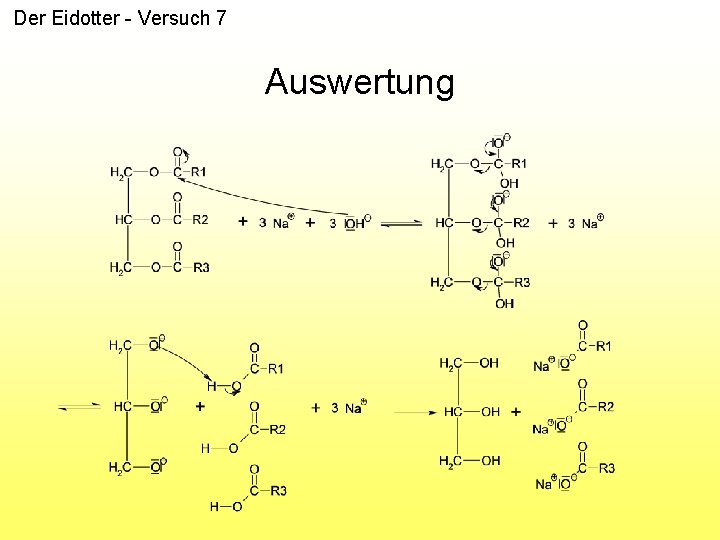 Der Eidotter - Versuch 7 Auswertung 