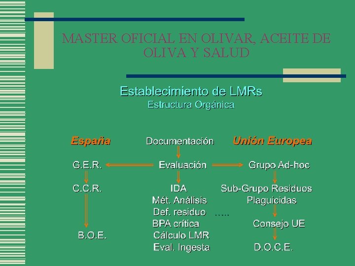 MASTER OFICIAL EN OLIVAR, ACEITE DE OLIVA Y SALUD 