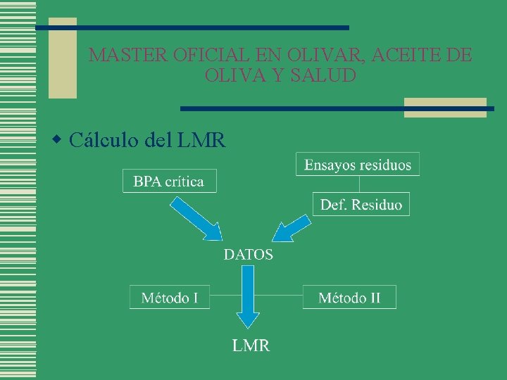 MASTER OFICIAL EN OLIVAR, ACEITE DE OLIVA Y SALUD w Cálculo del LMR 