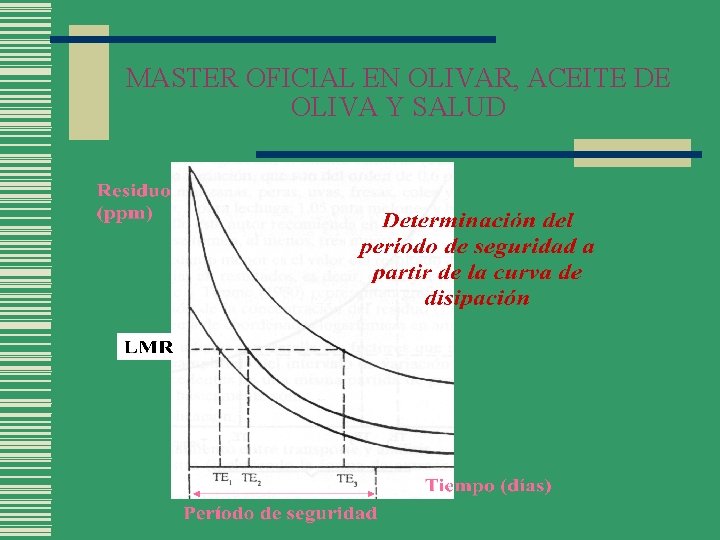 MASTER OFICIAL EN OLIVAR, ACEITE DE OLIVA Y SALUD 