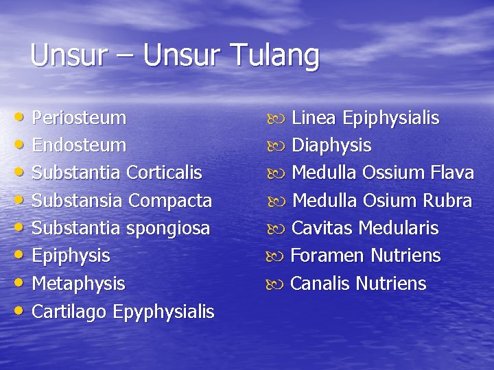 Unsur – Unsur Tulang • Periosteum • Endosteum • Substantia Corticalis • Substansia Compacta