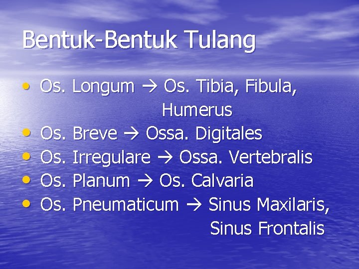 Bentuk-Bentuk Tulang • Os. Longum Os. Tibia, Fibula, • • Humerus Os. Breve Ossa.