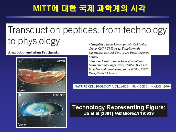 MITT에 대한 국제 과학계의 시각 Technology Representing Figure: Jo et al (2001) Nat Biotech
