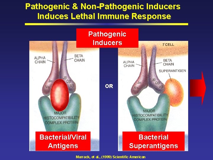 Pathogenic & Non-Pathogenic Inducers Induces Lethal Immune Response Pathogenic Inducers OR Bacterial/Viral Antigens Bacterial