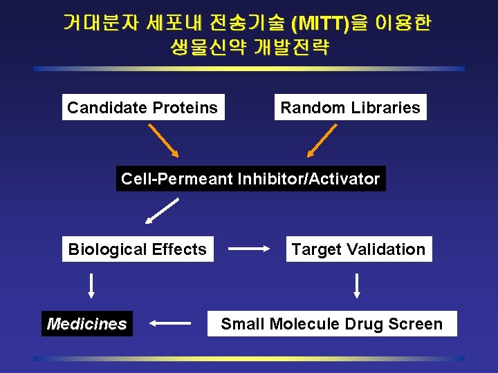 거대분자 세포내 전송기술 (MITT)을 이용한 생물신약 개발전략 Candidate Proteins Random Libraries Cell-Permeant Inhibitor/Activator Biological