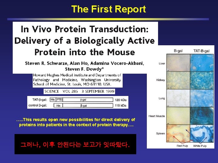 The First Report …. . This results open new possibilities for direct delivery of