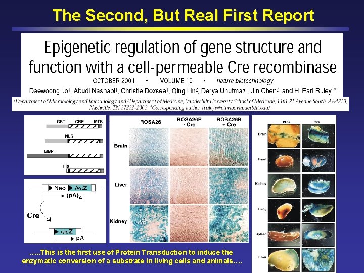 The Second, But Real First Report …. . This is the first use of