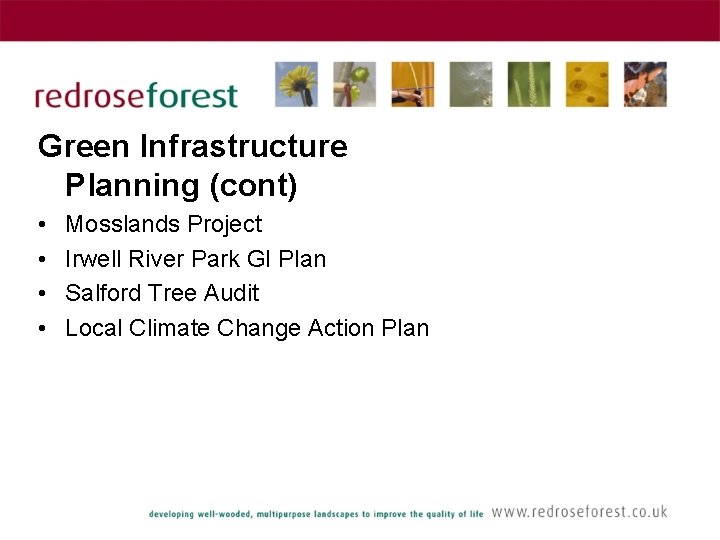 Green Infrastructure Planning (cont) • • Mosslands Project Irwell River Park GI Plan Salford