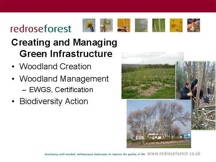 Creating and Managing Green Infrastructure • Woodland Creation • Woodland Management – EWGS, Certification