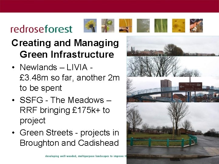 Creating and Managing Green Infrastructure • Newlands – LIVIA £ 3. 48 m so