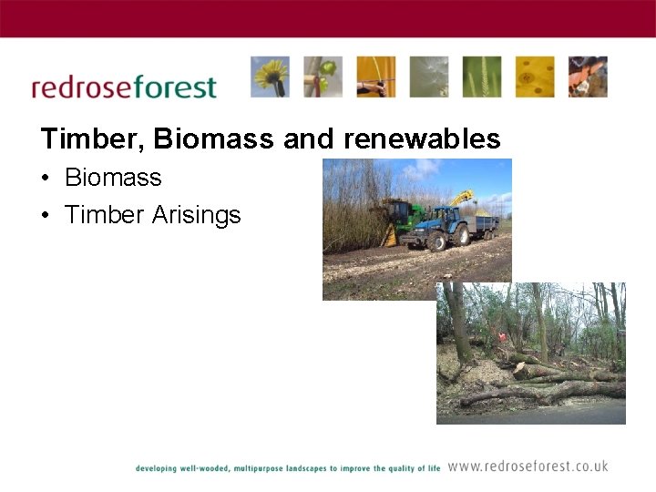 Timber, Biomass and renewables • Biomass • Timber Arisings 