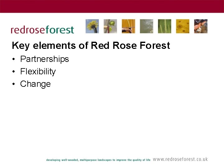 Key elements of Red Rose Forest • Partnerships • Flexibility • Change 