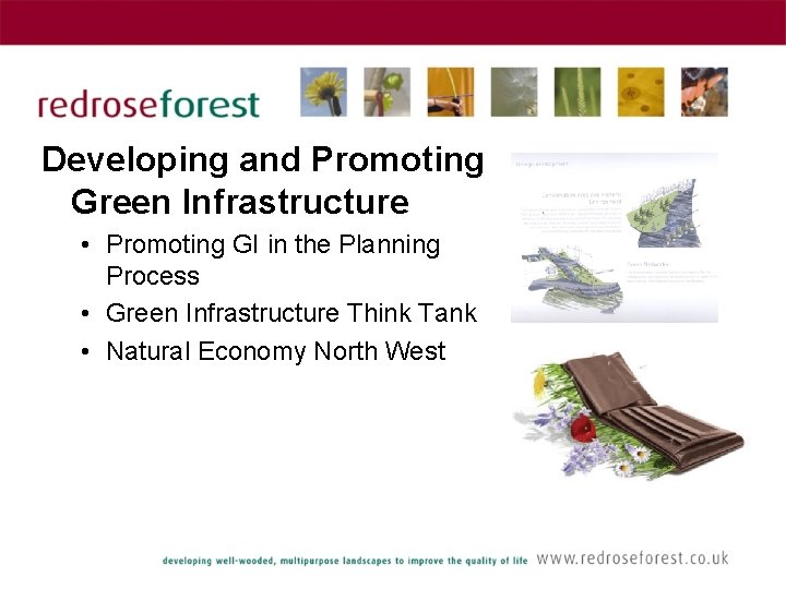 Developing and Promoting Green Infrastructure • Promoting GI in the Planning Process • Green