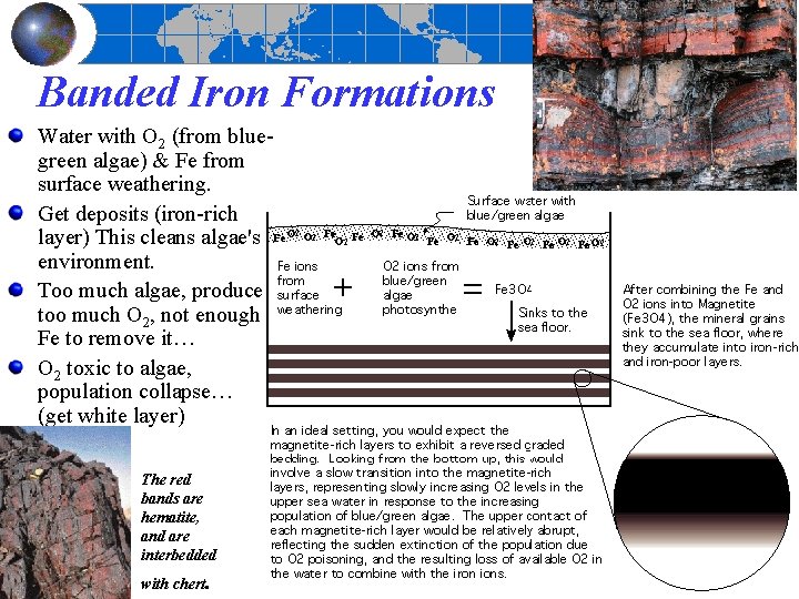 Banded Iron Formations Water with O 2 (from bluegreen algae) & Fe from surface