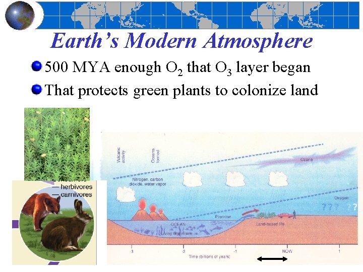 Earth’s Modern Atmosphere 500 MYA enough O 2 that O 3 layer began That