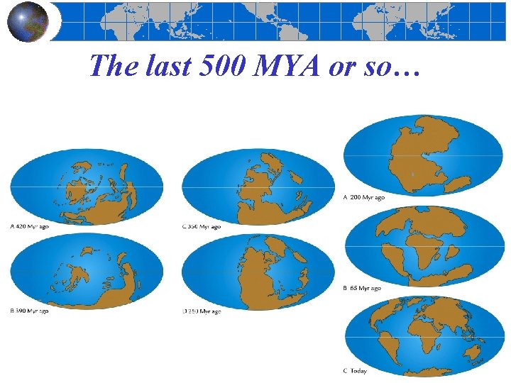 The last 500 MYA or so… 