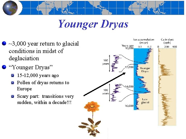 Younger Dryas ~3, 000 year return to glacial conditions in midst of deglaciation “Younger