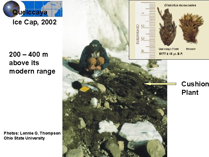 Quelccaya Ice Cap, 2002 200 – 400 m above its modern range Cushion Plant