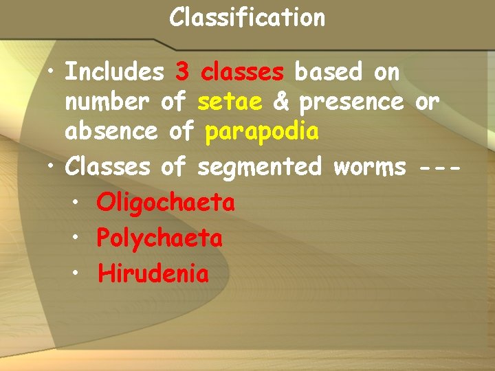 Classification • Includes 3 classes based on number of setae & presence or absence
