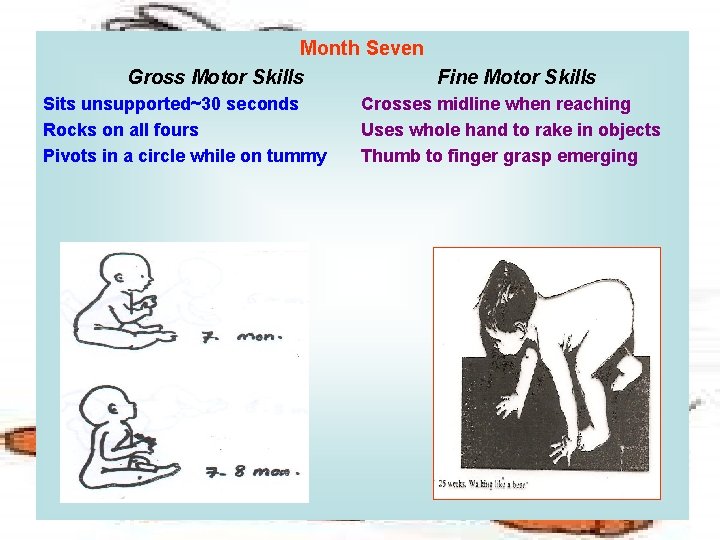 Month Seven Gross Motor Skills Fine Motor Skills Sits unsupported~30 seconds Rocks on all