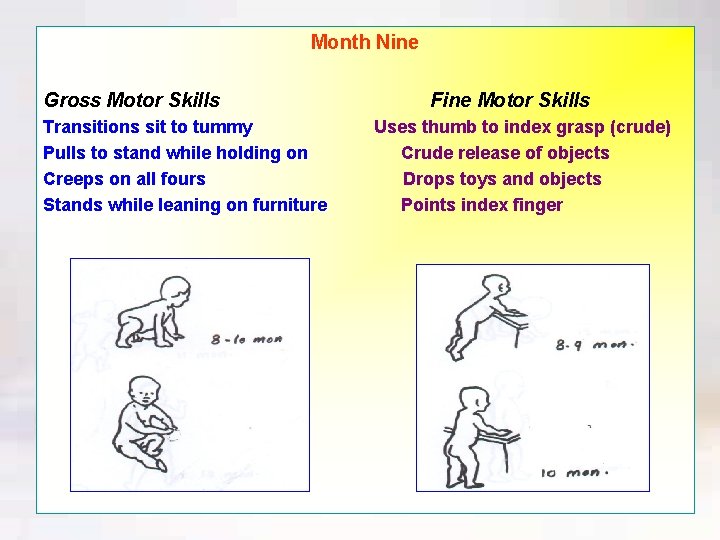 Month Nine Gross Motor Skills Transitions sit to tummy Pulls to stand while holding