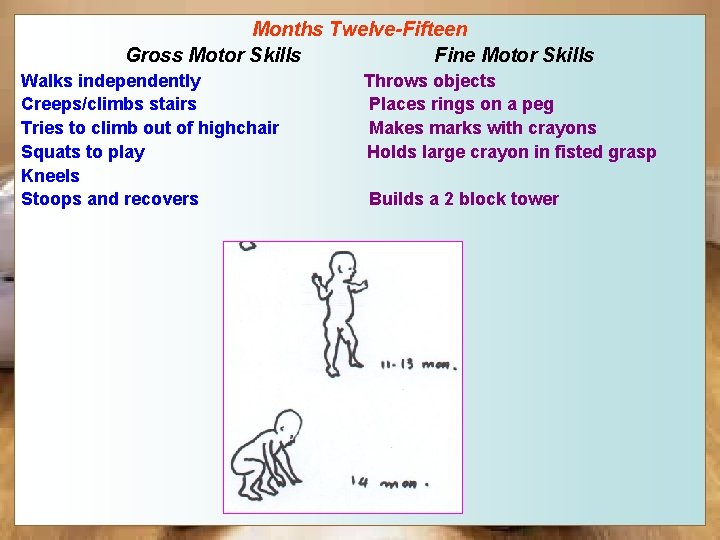 Months Twelve-Fifteen Gross Motor Skills Fine Motor Skills Walks independently Creeps/climbs stairs Tries to