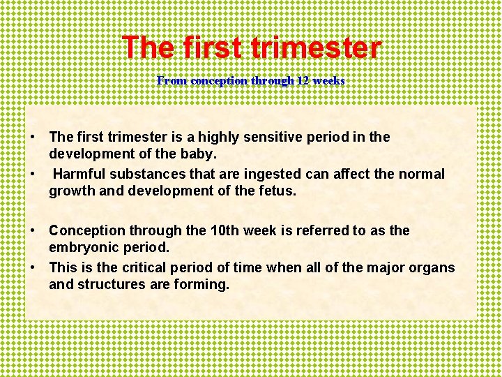 The first trimester From conception through 12 weeks • The first trimester is a