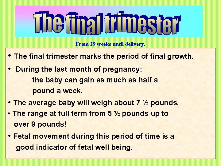 From 29 weeks until delivery. • The final trimester marks the period of final