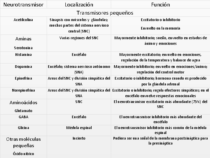 Neurotransmisor Acetilcolina Aminas Localización Transmisores pequeños Sinapsis con músculos y glándulas; muchas partes del