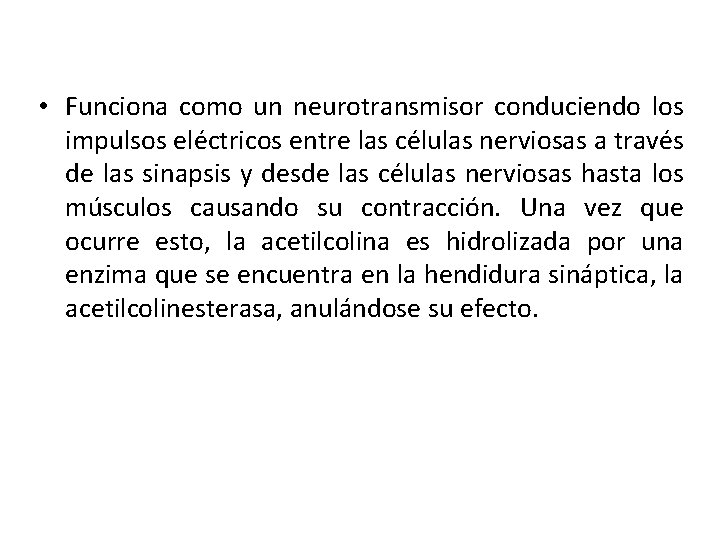  • Funciona como un neurotransmisor conduciendo los impulsos eléctricos entre las células nerviosas