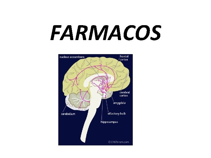 FARMACOS 