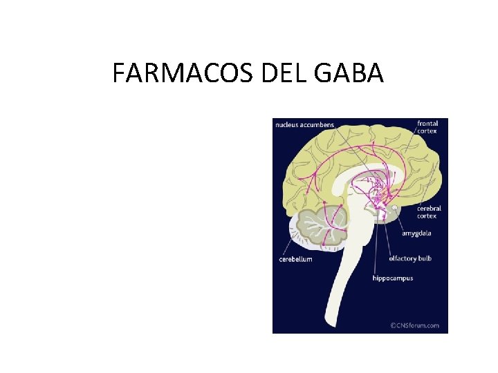 FARMACOS DEL GABA 