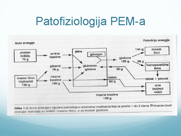 Patofiziologija PEM-a 