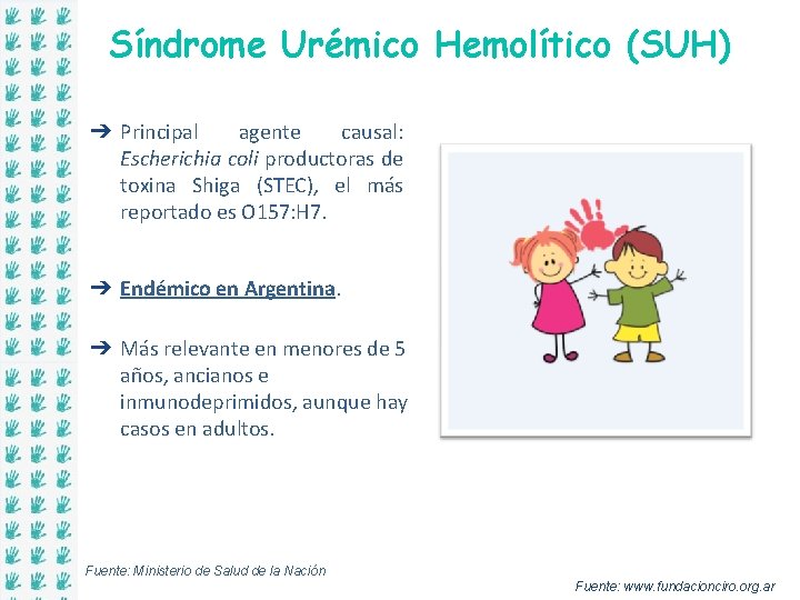 Síndrome Urémico Hemolítico (SUH) ➔ Principal agente causal: Escherichia coli productoras de toxina Shiga