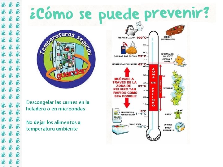 Descongelar las carnes en la heladera o en microondas No dejar los alimentos a