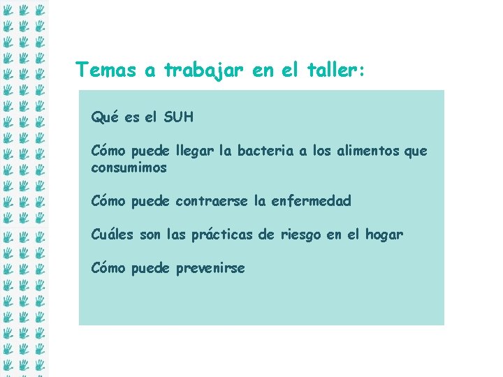 Temas a trabajar en el taller: Qué es el SUH Cómo puede llegar la