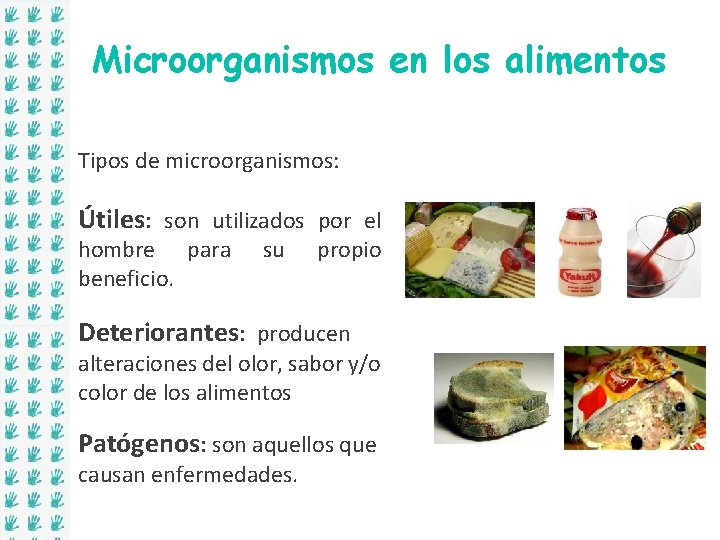 Microorganismos en los alimentos Tipos de microorganismos: Útiles: son utilizados por el hombre para