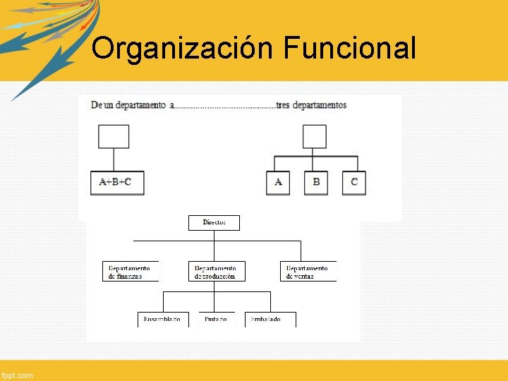 Organización Funcional 