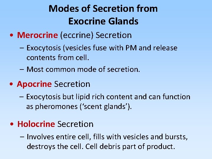 Modes of Secretion from Exocrine Glands • Merocrine (eccrine) Secretion – Exocytosis (vesicles fuse